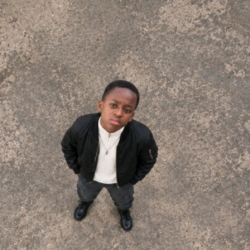author avatar