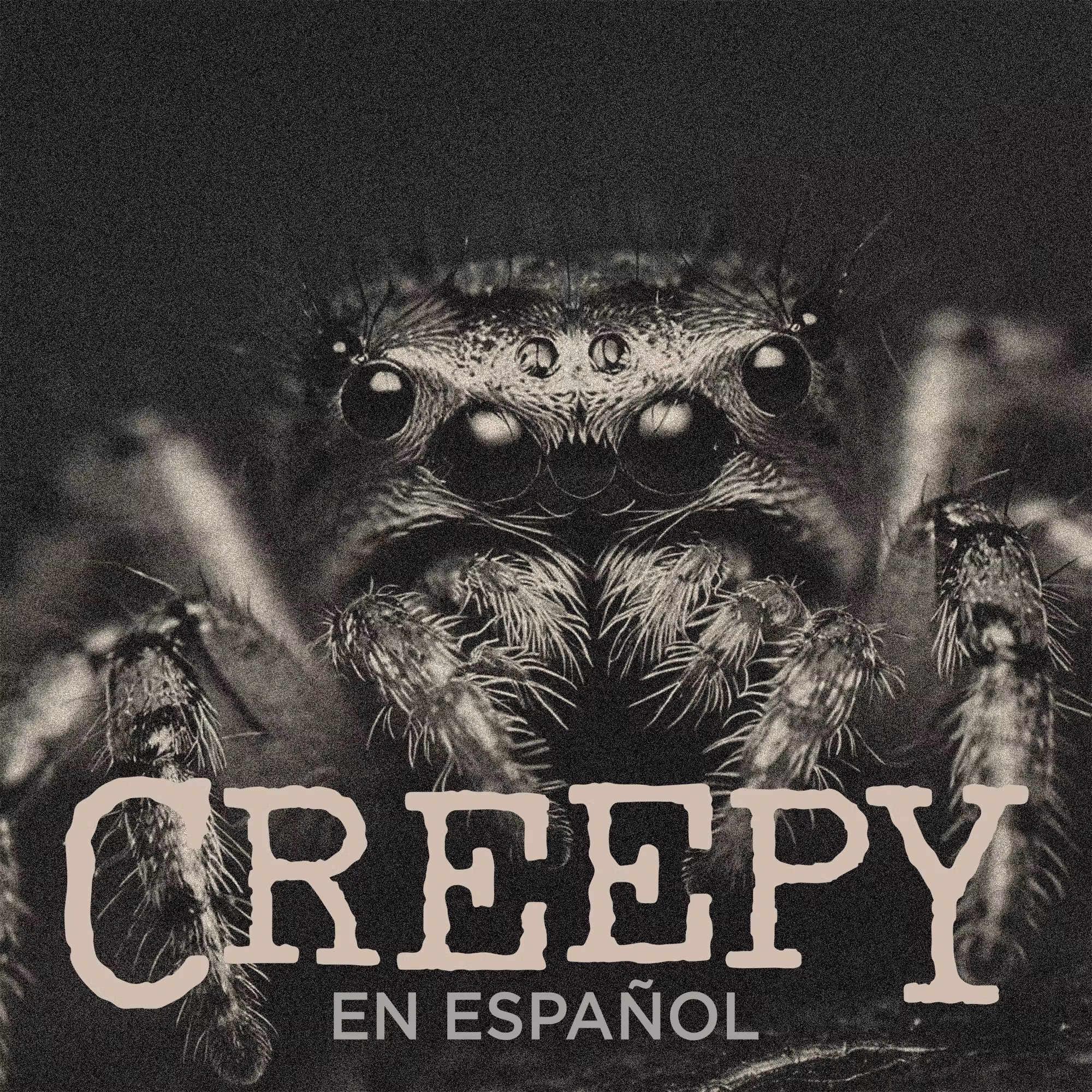 Dos historias horribles de insectos