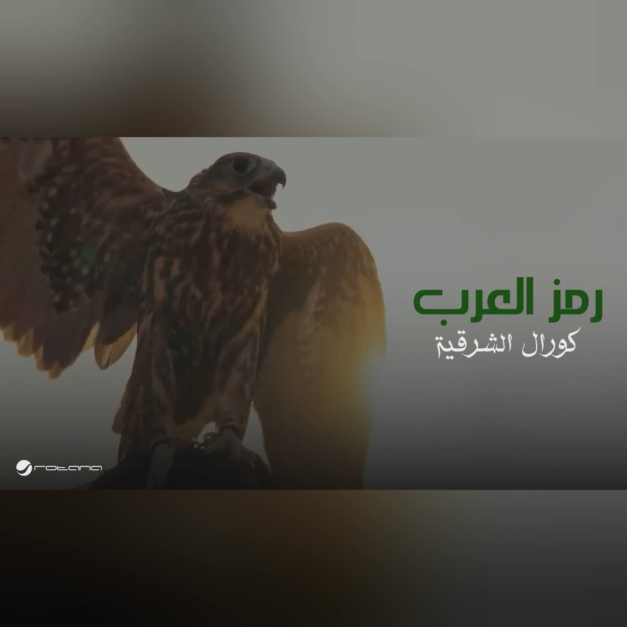 رمز العرب cover art