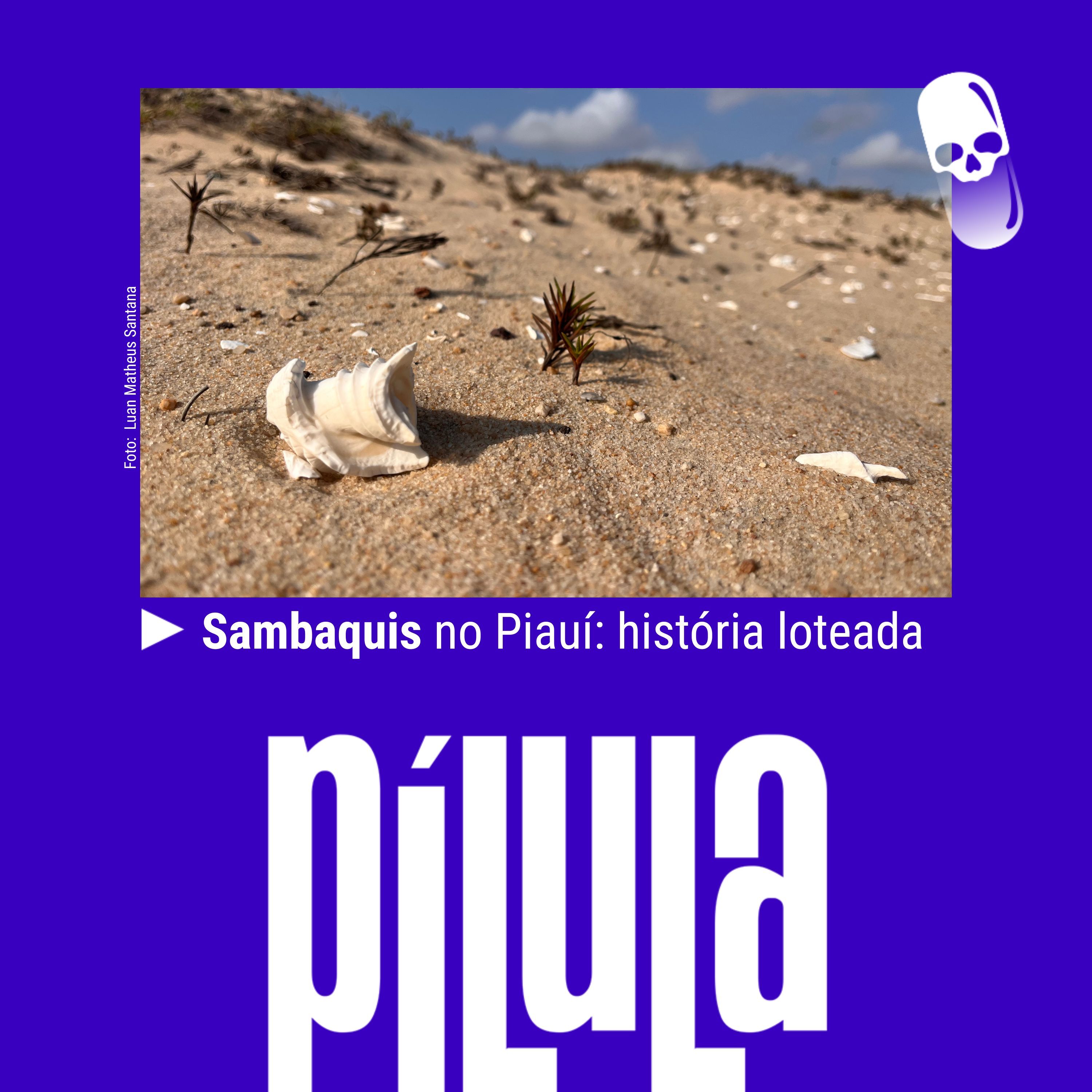 PÍLULA - Sambaquis no Piauí: história loteada cover art