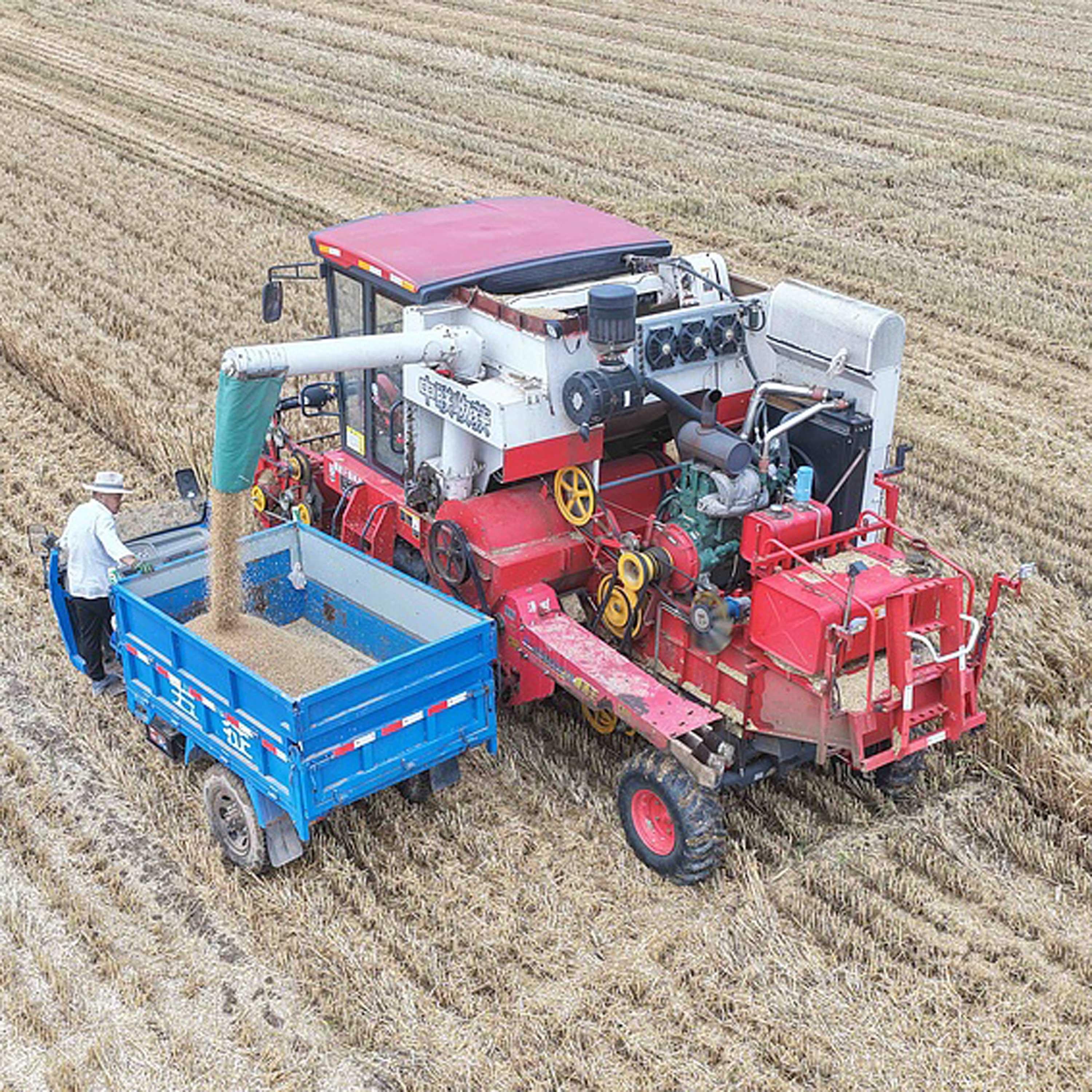 China moves to strengthen food security across grain supply chain cover art