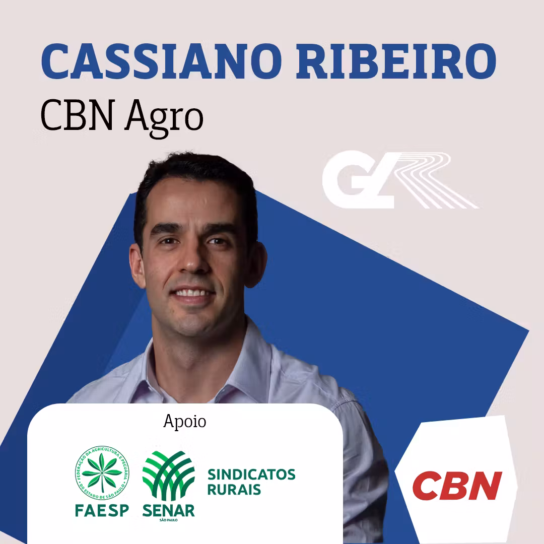 Soja, milho e sorgo no centro da guerra comercial entre EUA e China