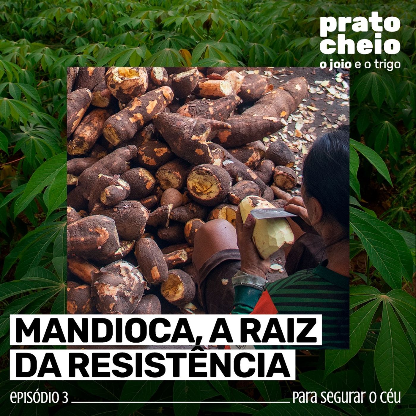 Mandioca, a raiz da resistência cover art