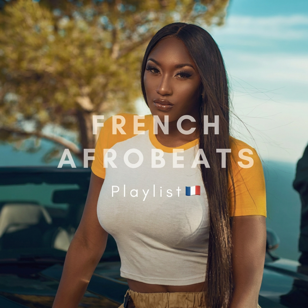 French Afrobeats 🇫🇷🔥 cover art