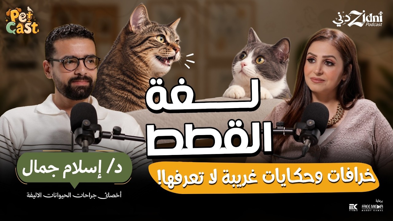 لغة القطط... خرافات وحكايات غريبة لا تعرفها! | بيت كاست cover art