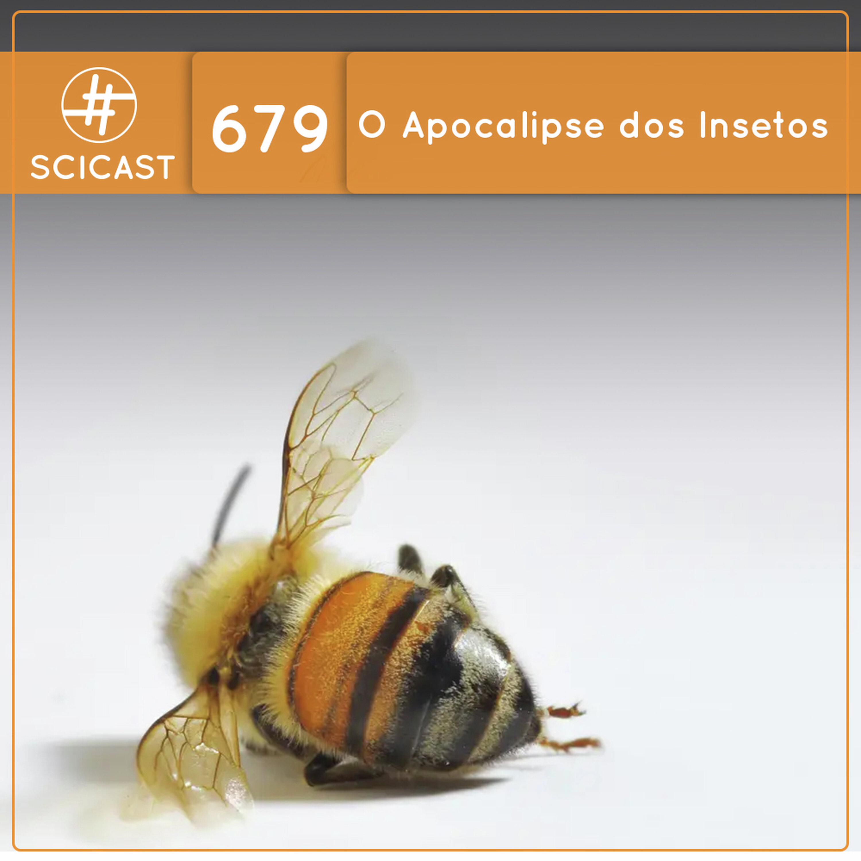 O Apocalipse dos Insetos (SciCast #679) cover art