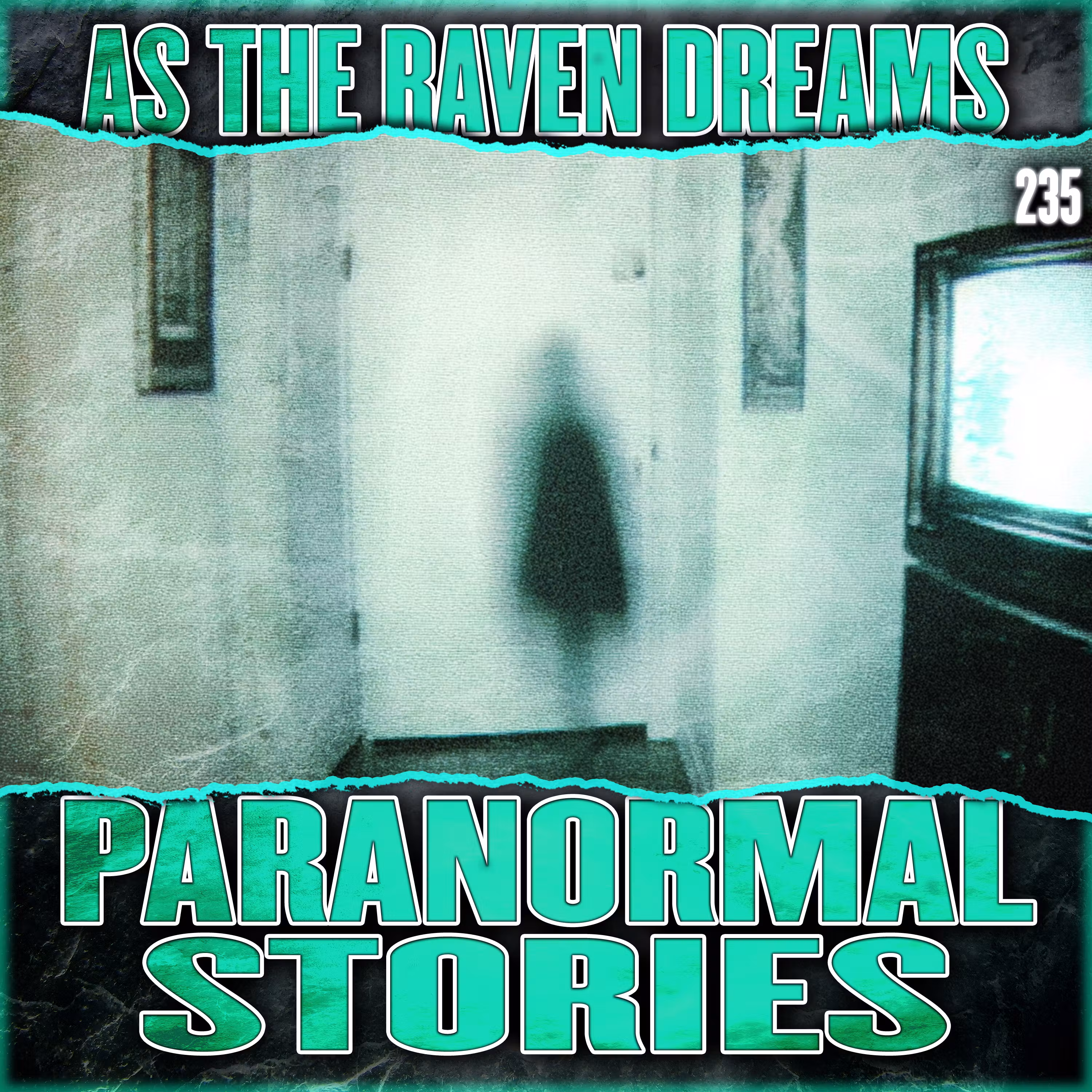 ATRD Ep. 235 - 17 PARANORMAL Horror Stories cover art