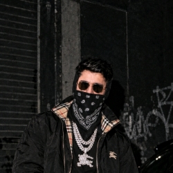 author avatar