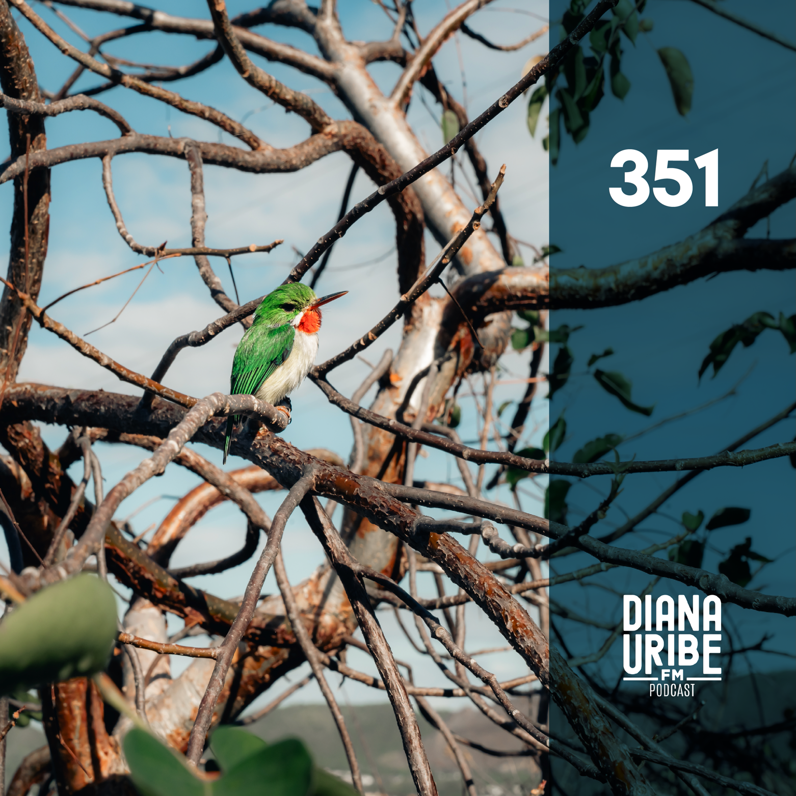 Puerto Rico IV: La naturaleza que habita la isla cover art