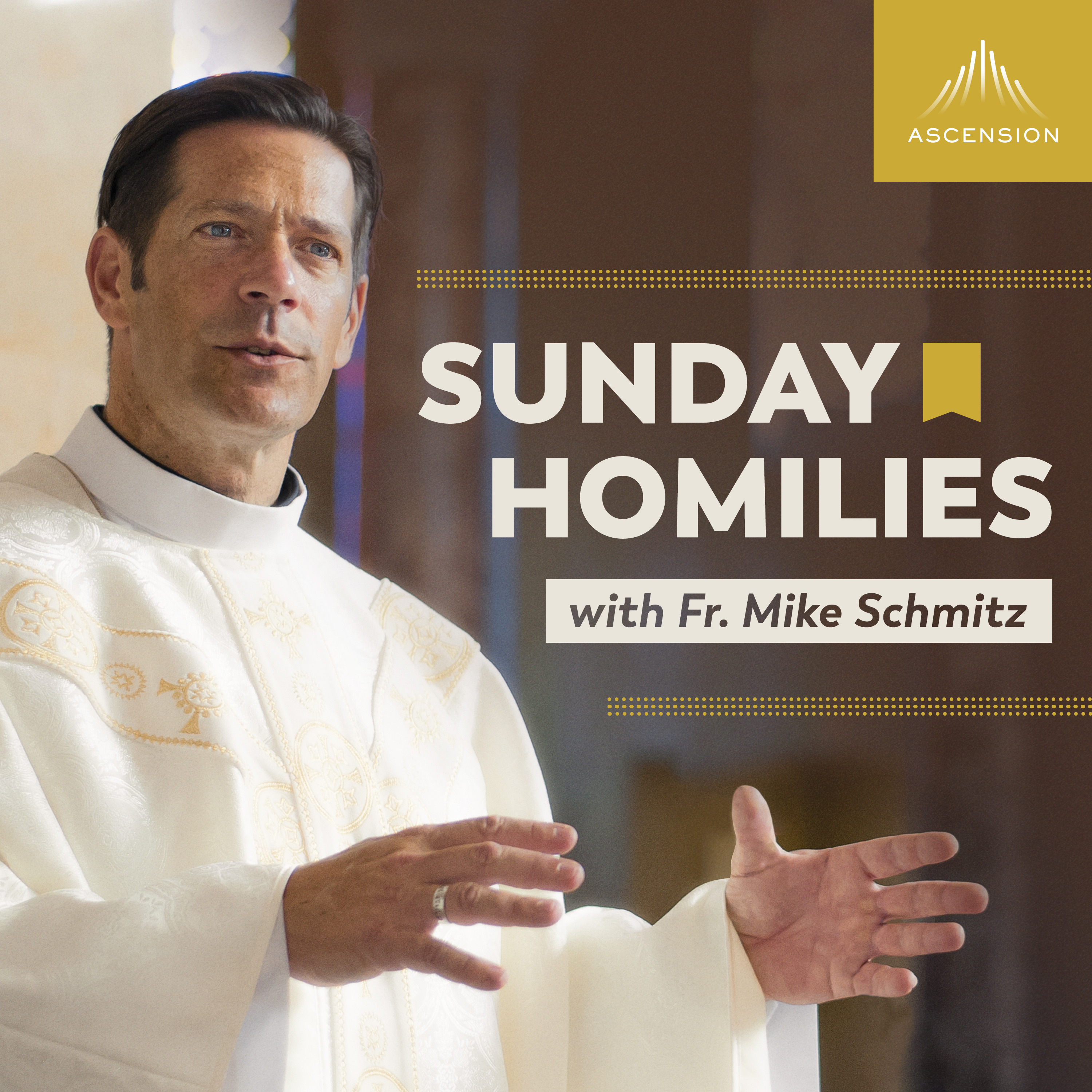 Sunday Homilies with Fr. Mike Schmitz cover art