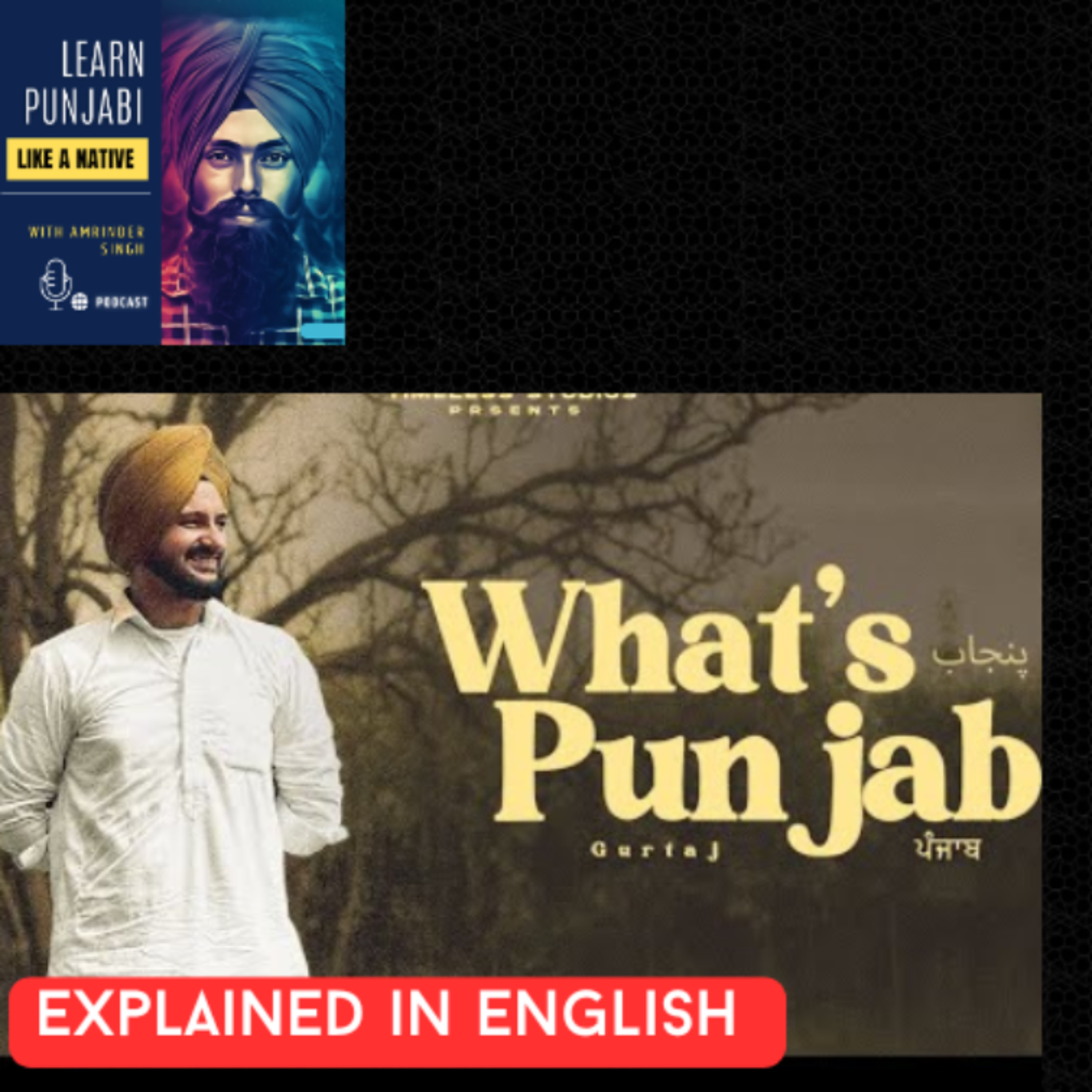 #203 : What's Punjab song explained in English cover art