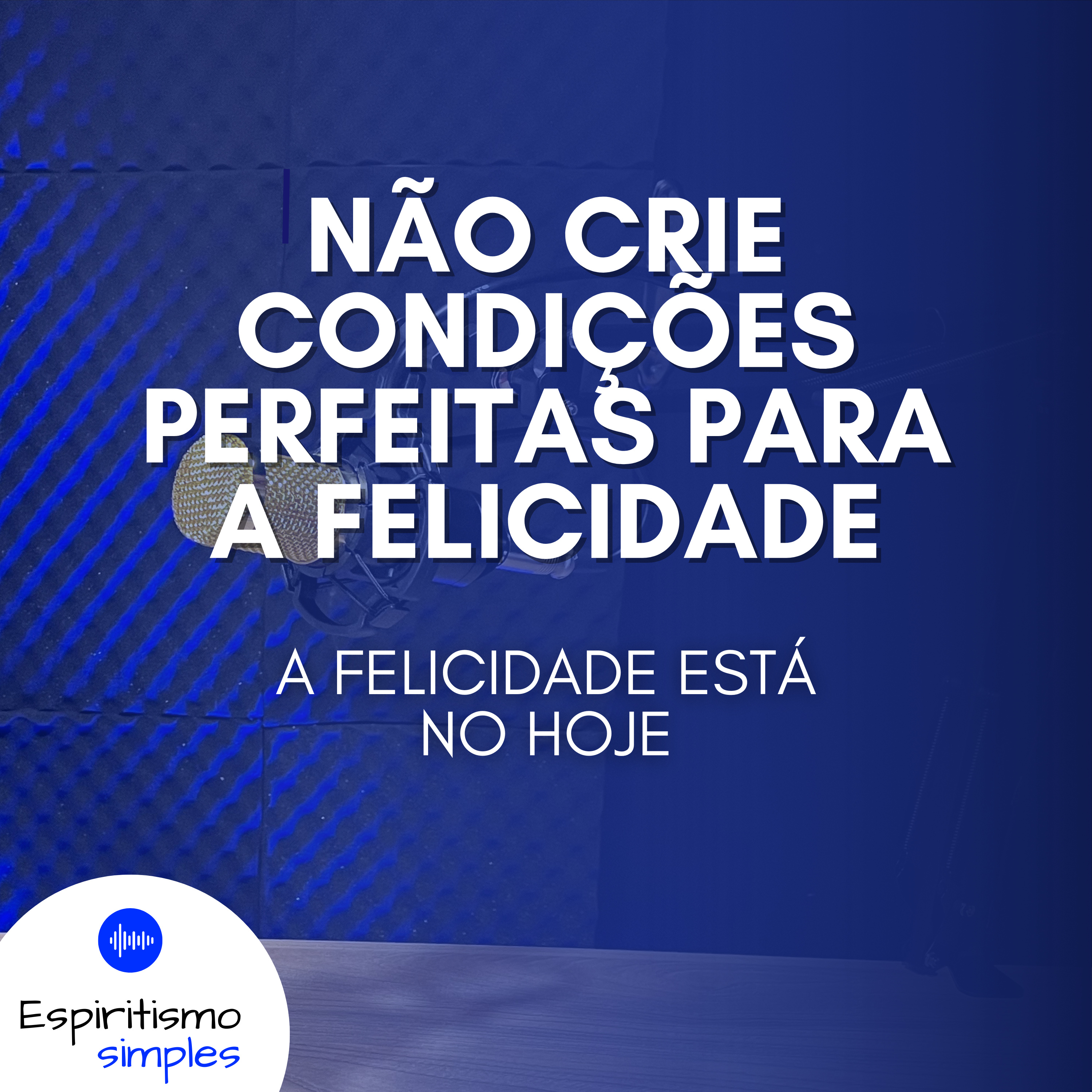 Não crie condições perfeitas para a felicidade cover art