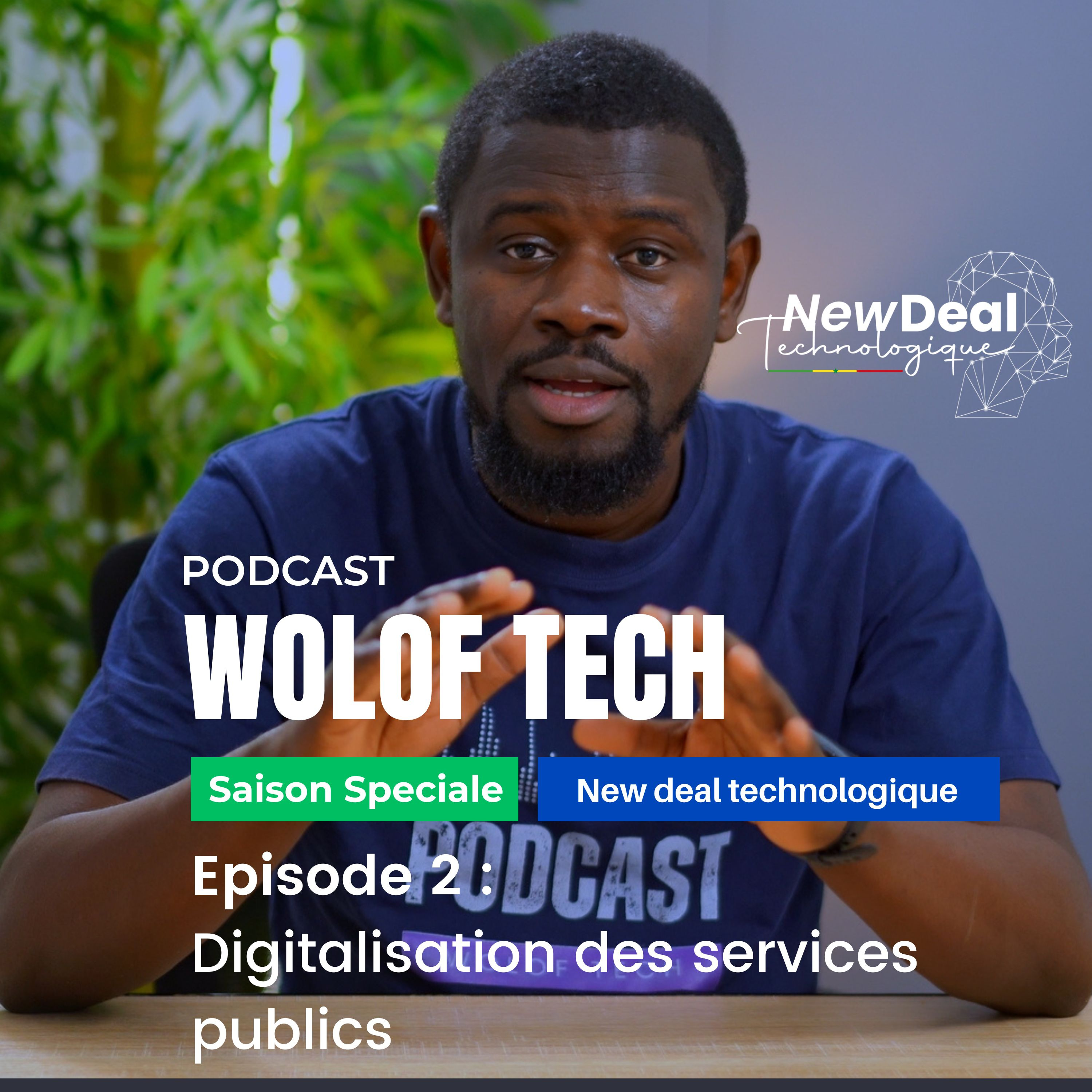 SNDTE1 - La Digitalisation des services publics cover art