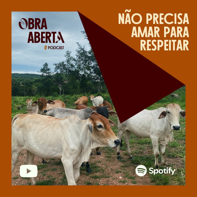 não precisa amar para respeitar cover art