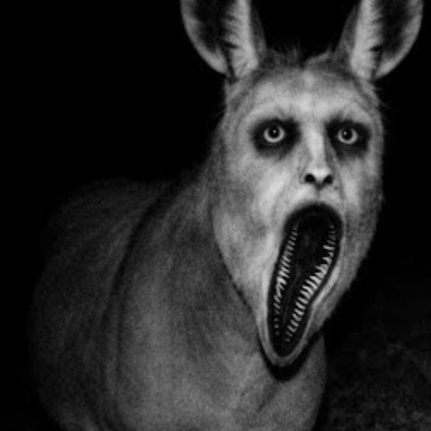 ANIMALES ACTUANDO COMO HUMANOS: Especial de 1 Hora que NO Deberías Ver Solo cover art