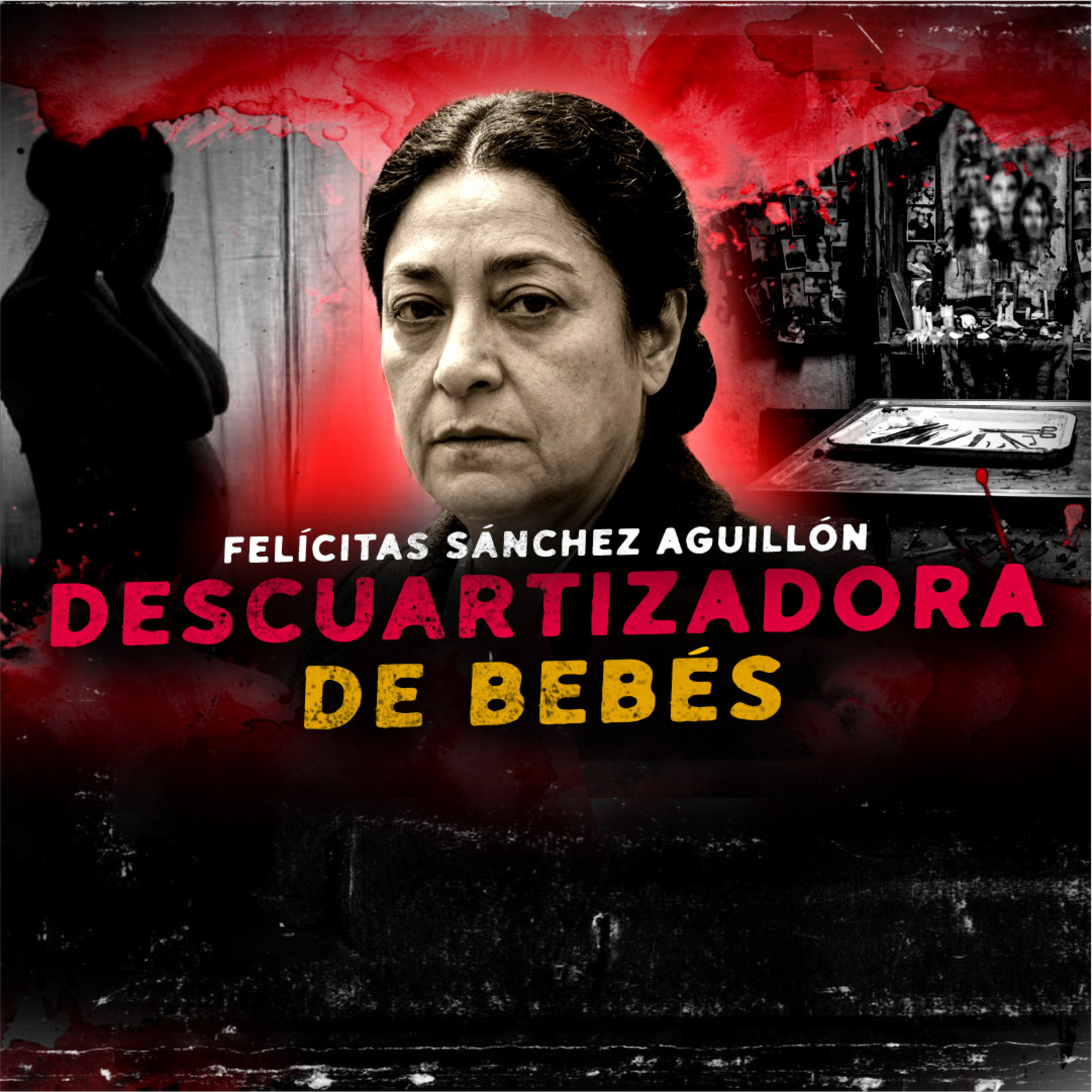 El Siniestro ALTAR de la Ogresa de la Roma: Análisis de una Mente Criminal cover art