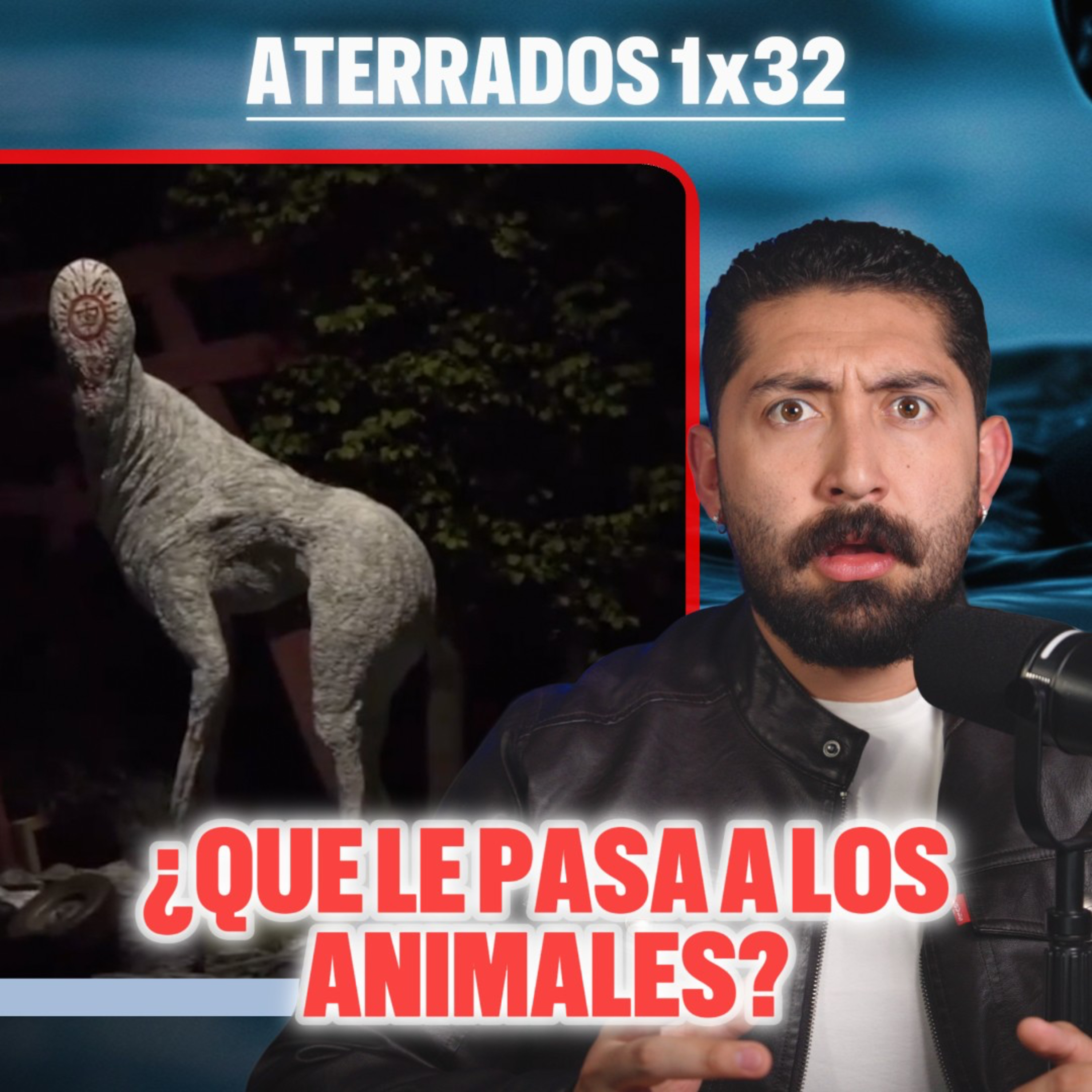 ALGO ESTÁ MAL CON LOS ANIMALES DE ESTE ZOOLOGICO cover art