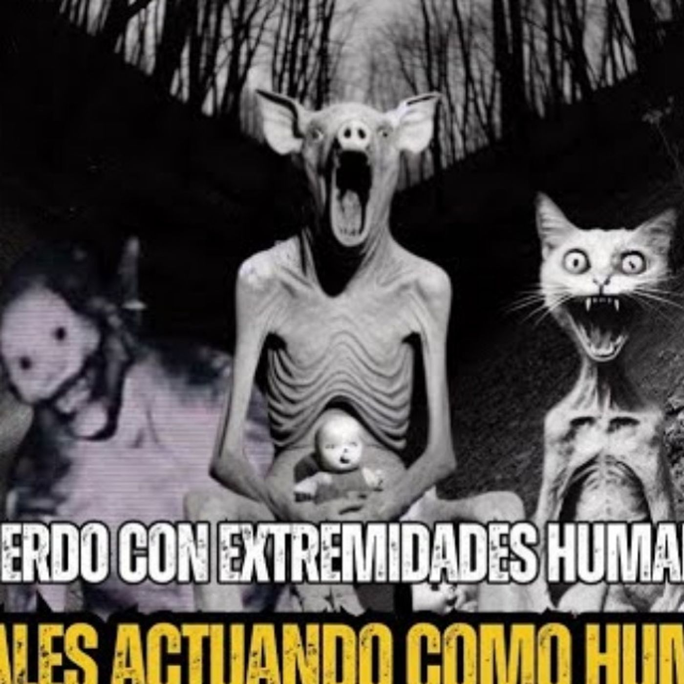 6 NUEVAS HISTORIAS de ANIMALES ACTUANDO COMO HUMANOS | Relatos Reales de Terror | Gato Macabro cover art