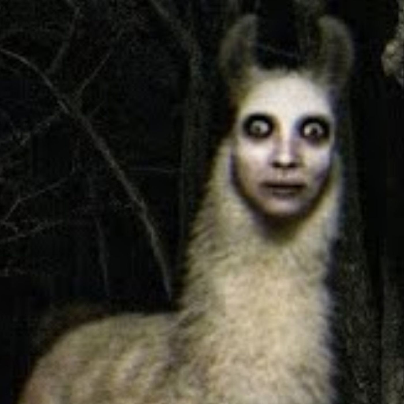 7 Historias de Animales Actuando Como Humanos | Relatos Reales de Terror | Gato Macabro cover art