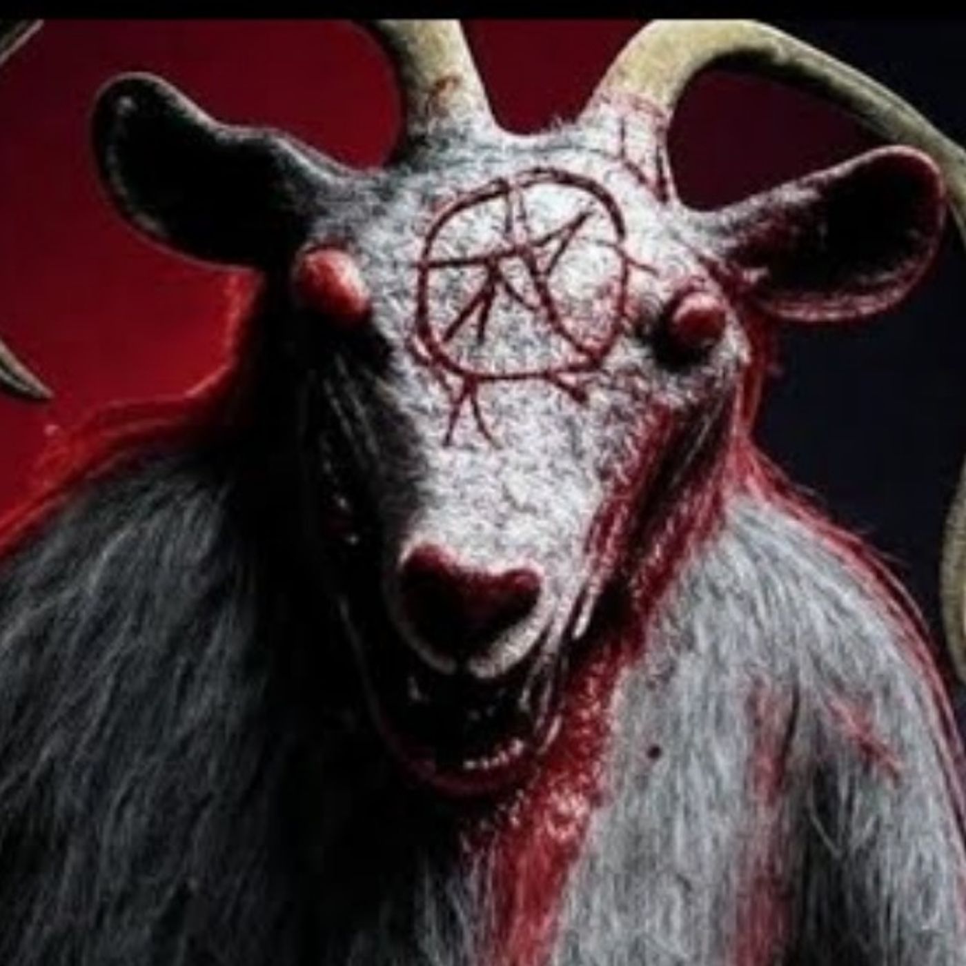 6 Nuevas historias de Animales Que Se Comportaron Como Humanos | Con evidencia real | Gato macabro cover art