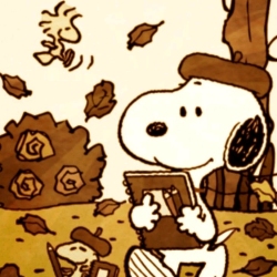 author avatar