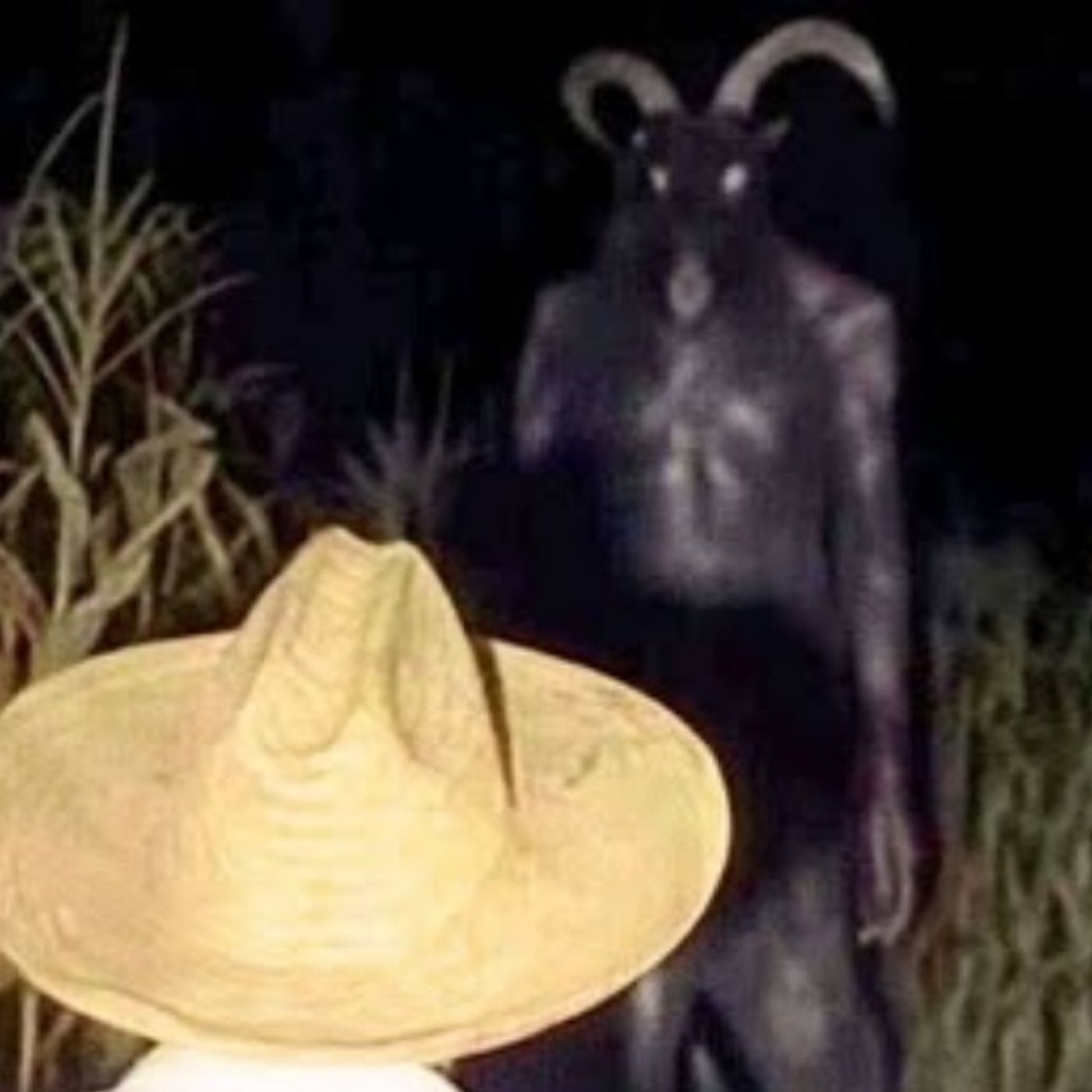 Nahuales, Brujas y Criaturas del Monte | Relatos Enviados por Suscriptores | FOTO REAL cover art