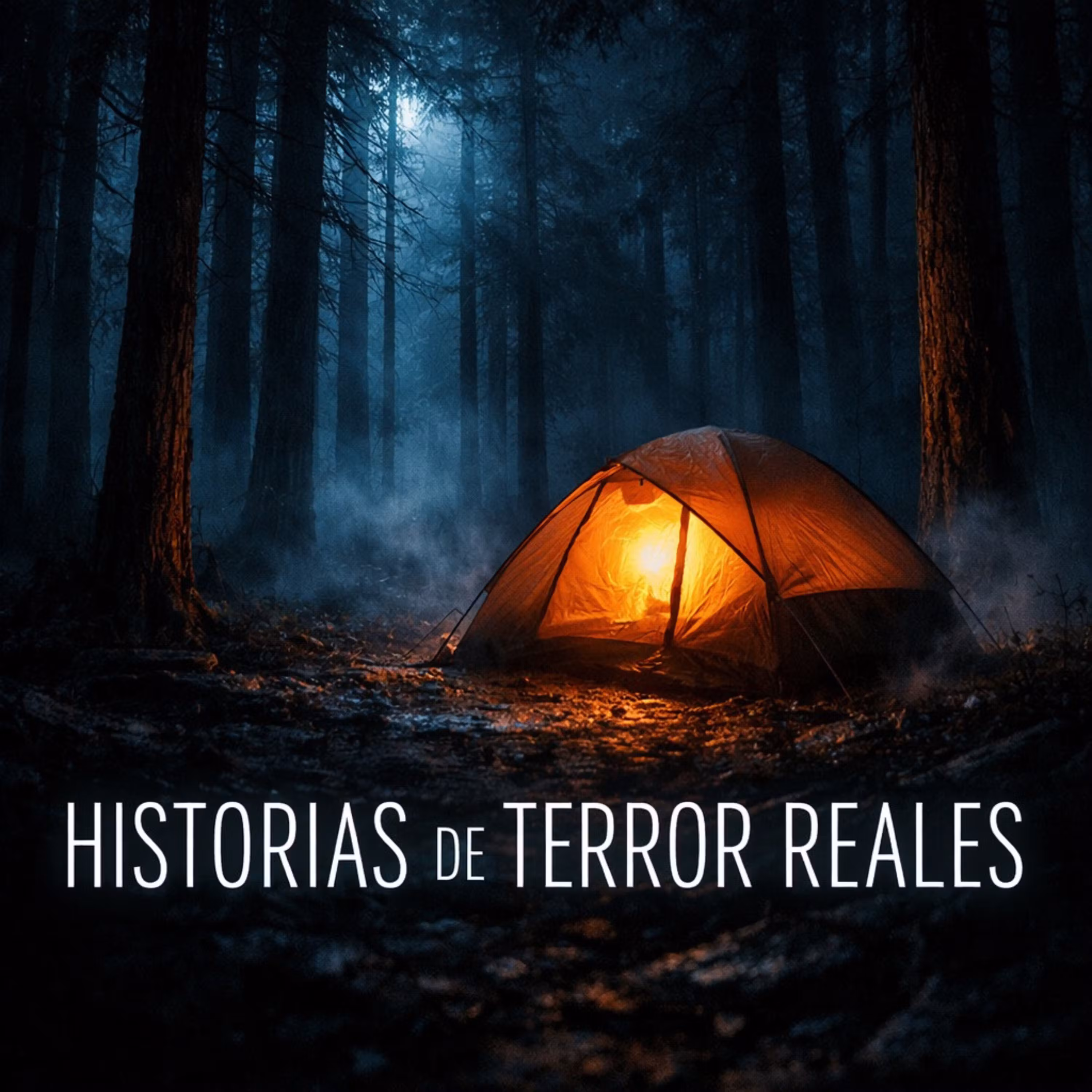 3 historias de terror REALES y escalofriantes de campamentos en el bosque completamente aislados cover art