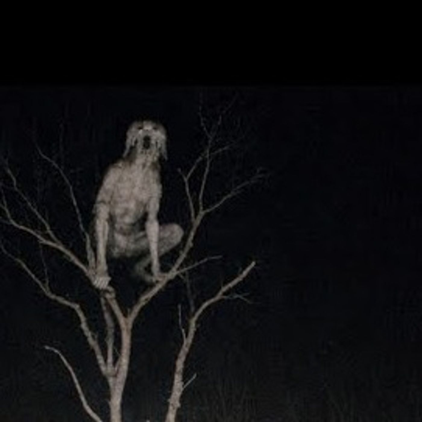 Animales Actuando Como Humanos | Relatos Reales de Terror Enviados por Suscriptores | Gato Macabro cover art
