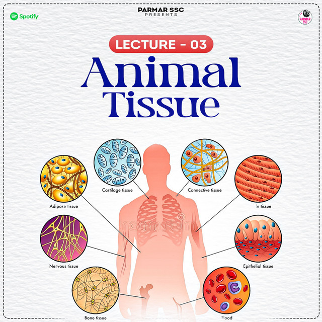 ANIMAL TISSUE | BIOLOGY | PARMAR SSC cover art