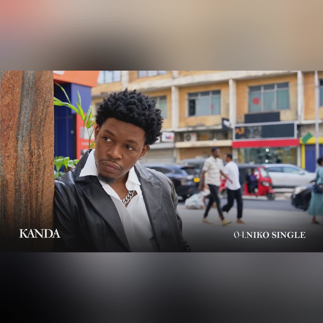 Moco Genius feat Alikiba - Niko Single (Visualizer) cover art