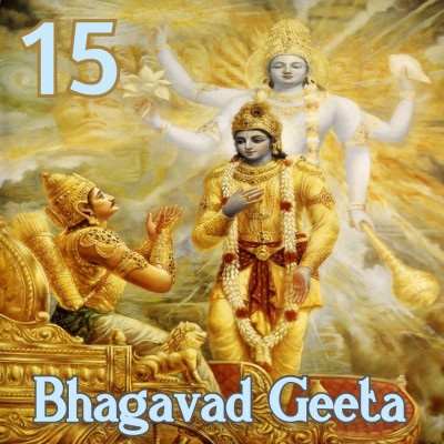 15. पञ्चदश अध्याय (पुरुषोत्तम योग)