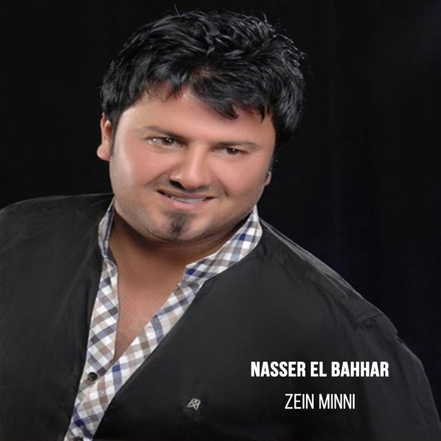 Zein Minni cover art