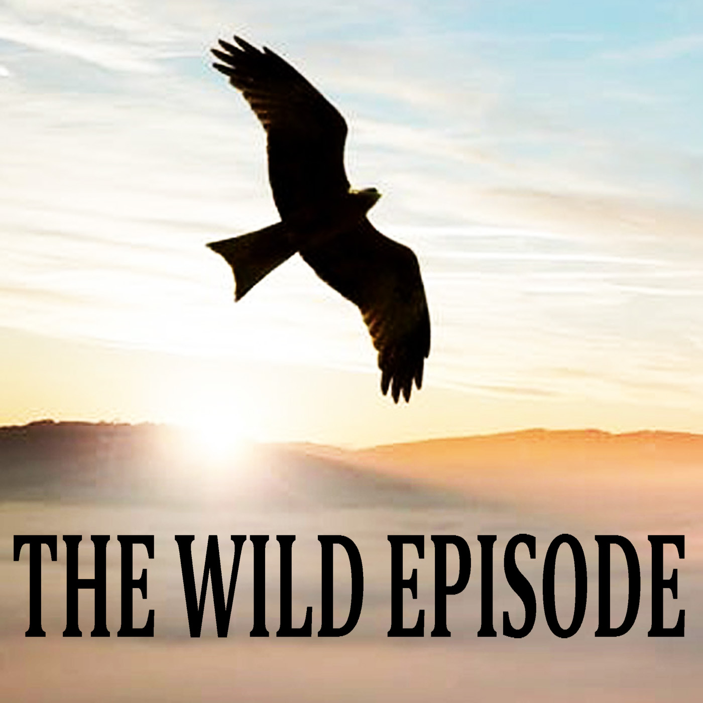 The Wild Episode cover art