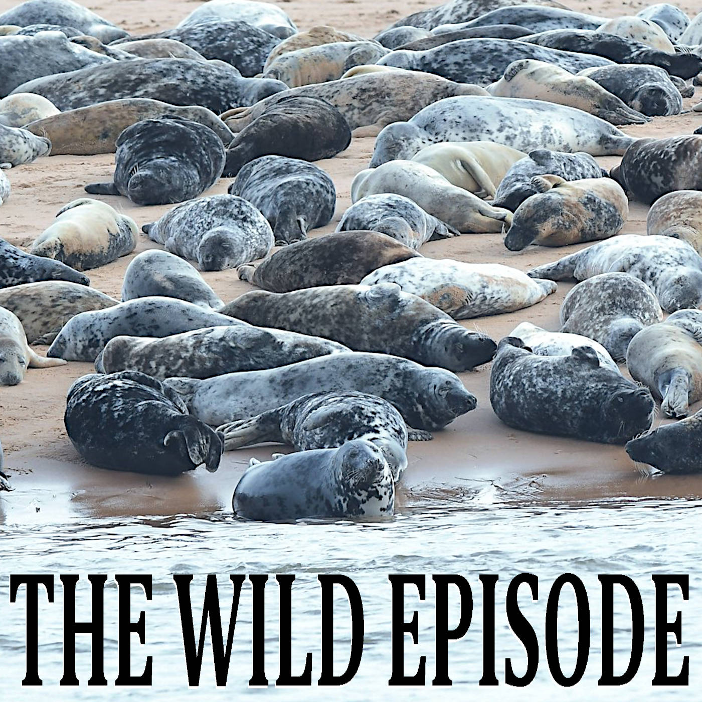 Grey Seal : The Corkscrew Killer Mystery