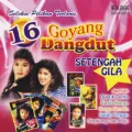 16 Goyang Dangdut Setengah Gila