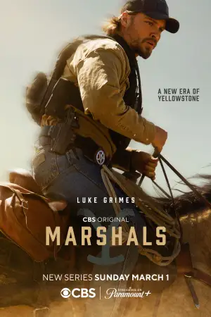 Y: Marshals [Hindi] poster