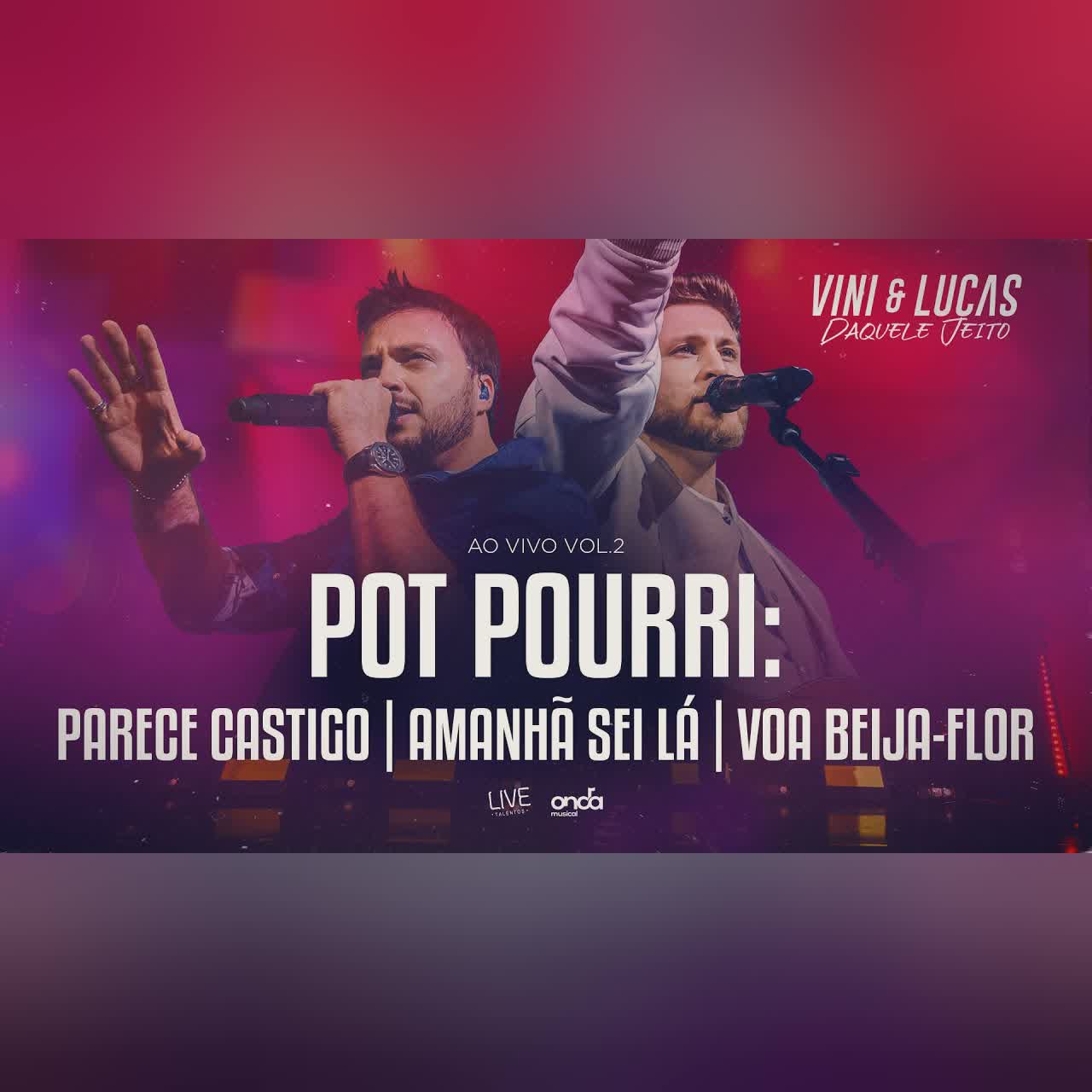 Parece Castigo / Amanhã Sei Lá / Voa Beija-flor (Ao Vivo) cover art