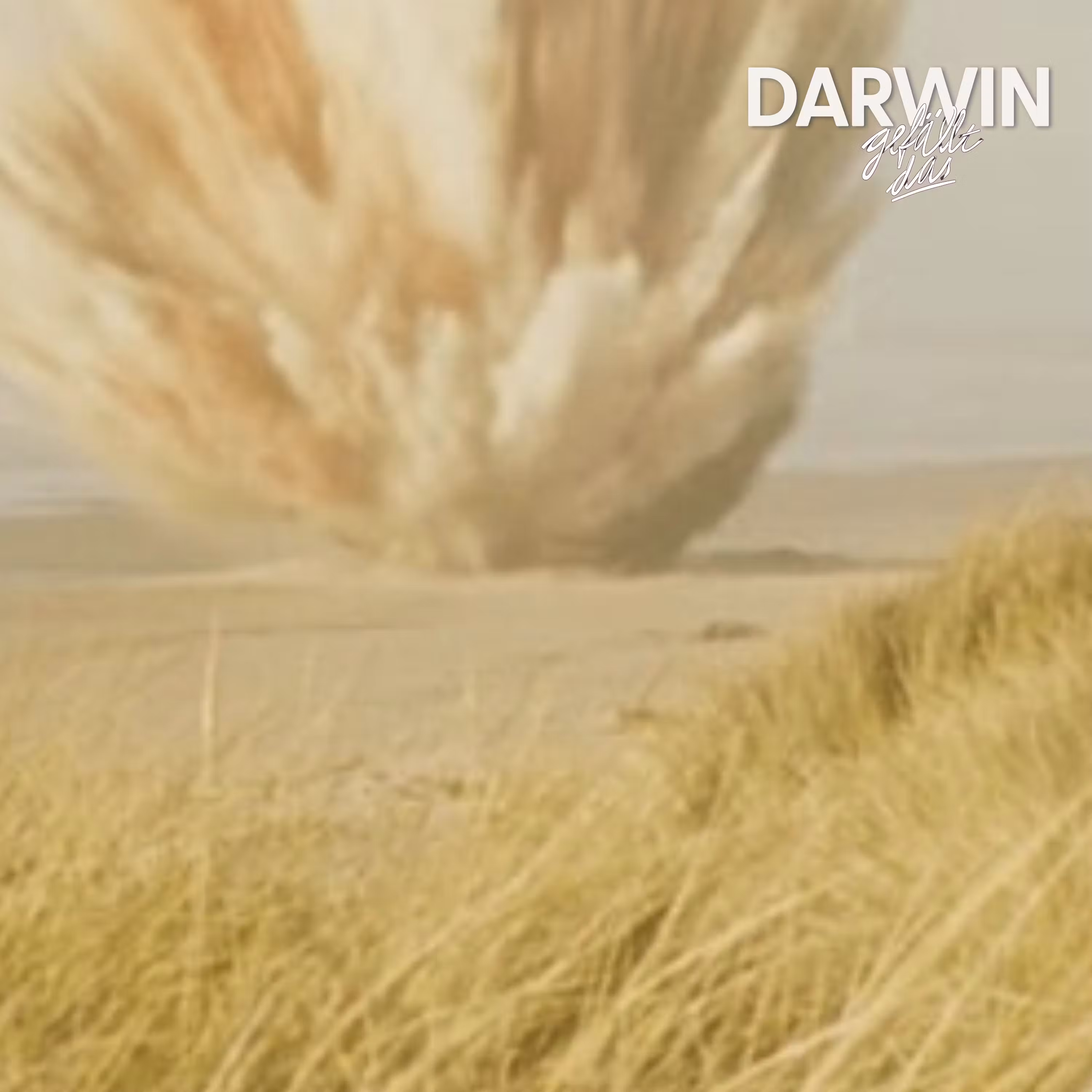 DGD Extrablatt: Ein Wal explodiert cover art