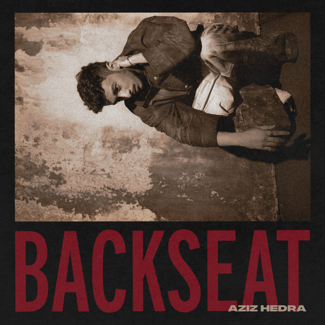 Backseat cover art