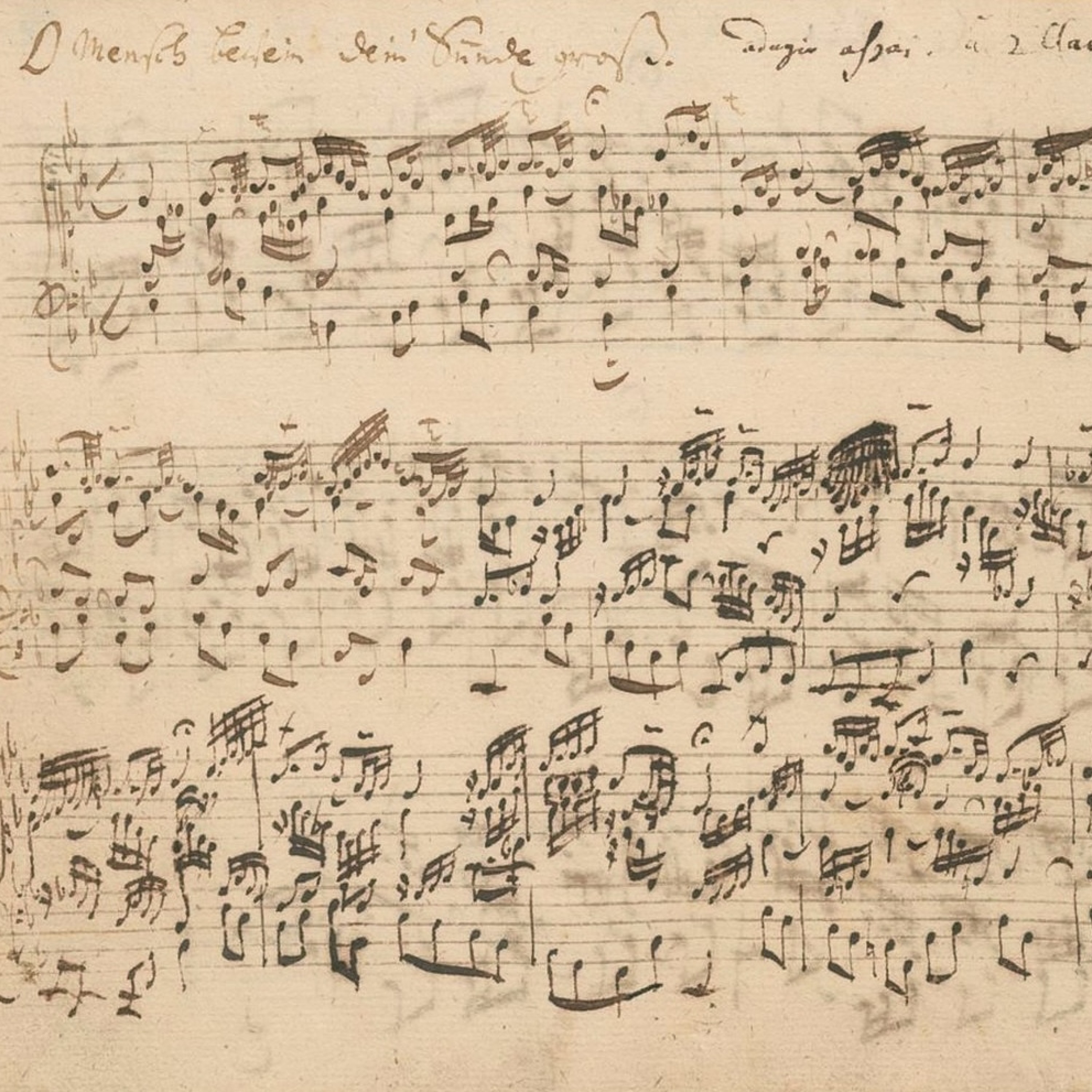 Une mélodie de choral : théologie de la contrition mais pas du désespoir cover art