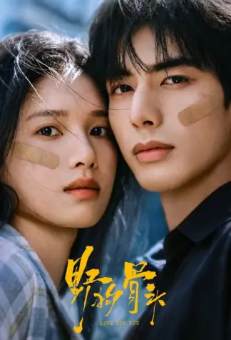 Love for You (2026) poster