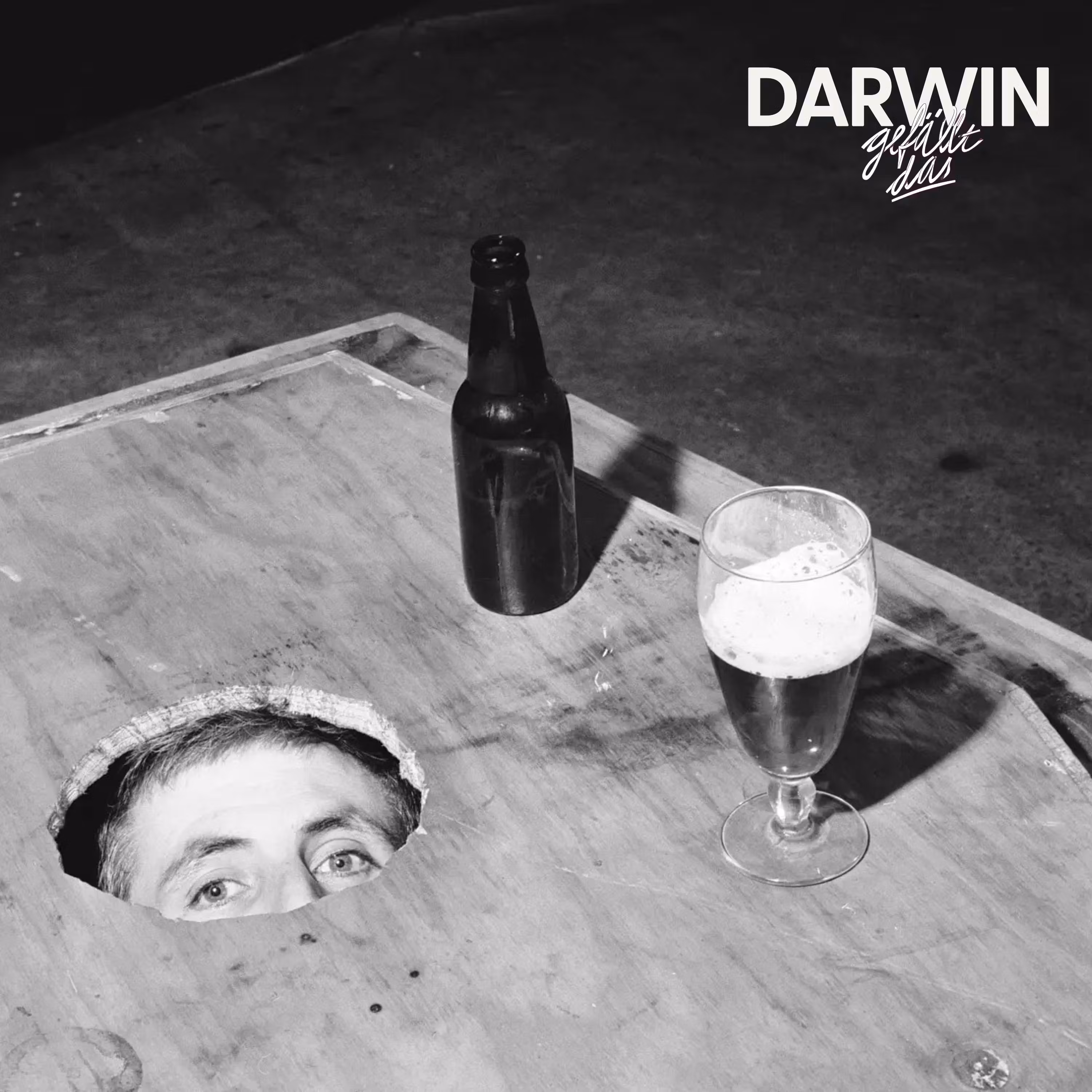 Rekord im Sarg cover art