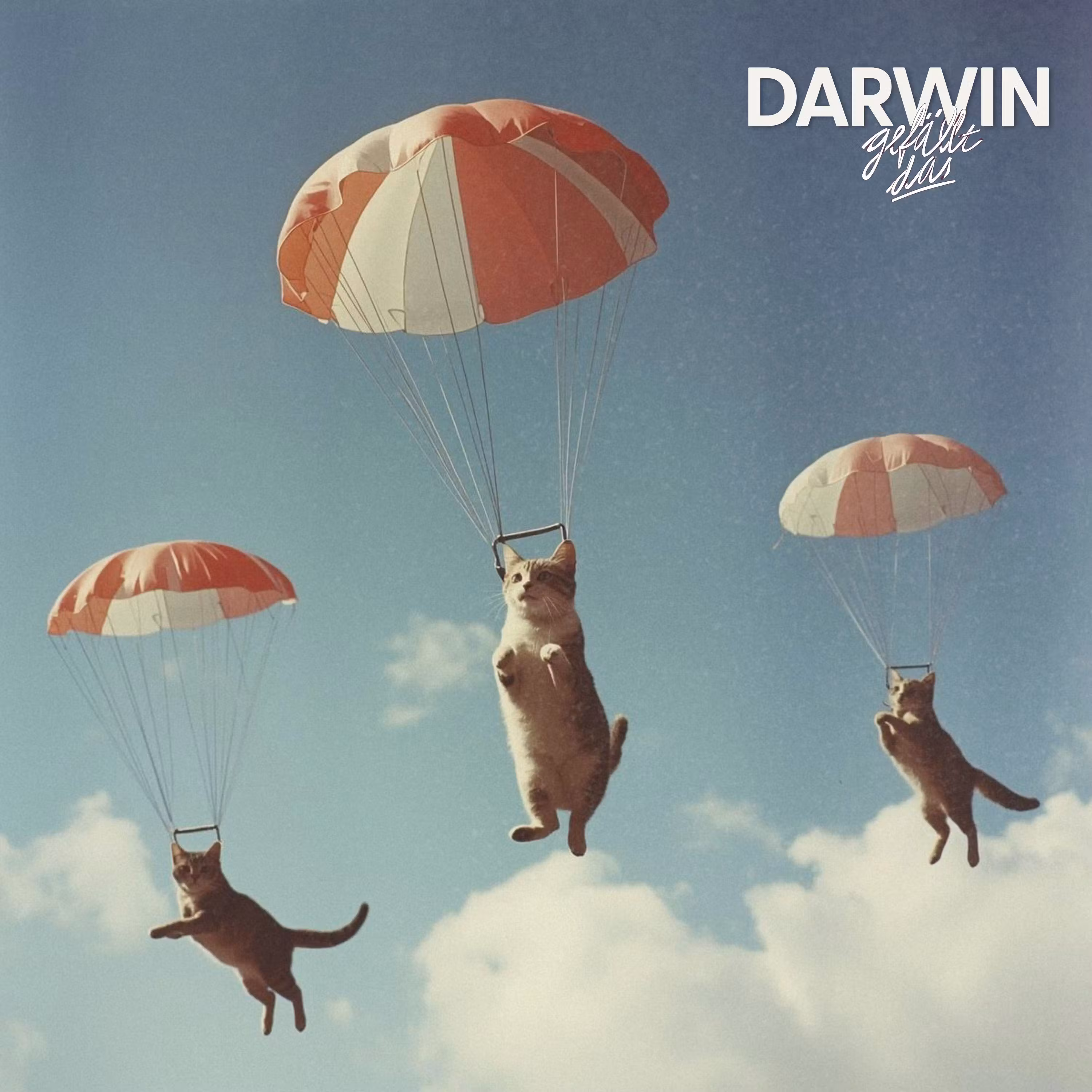 It’s raining Cats cover art