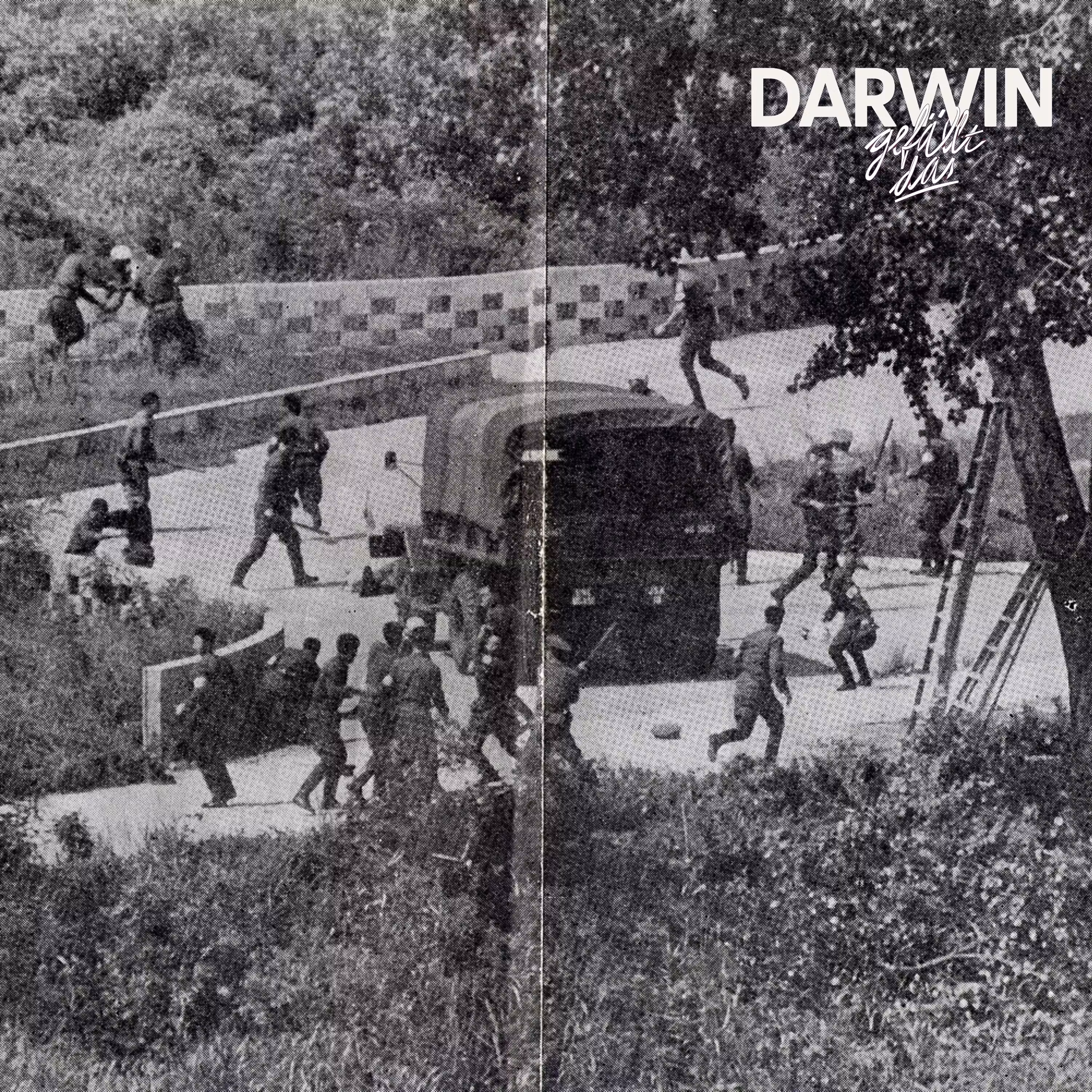 Die Pappel muss weg cover art