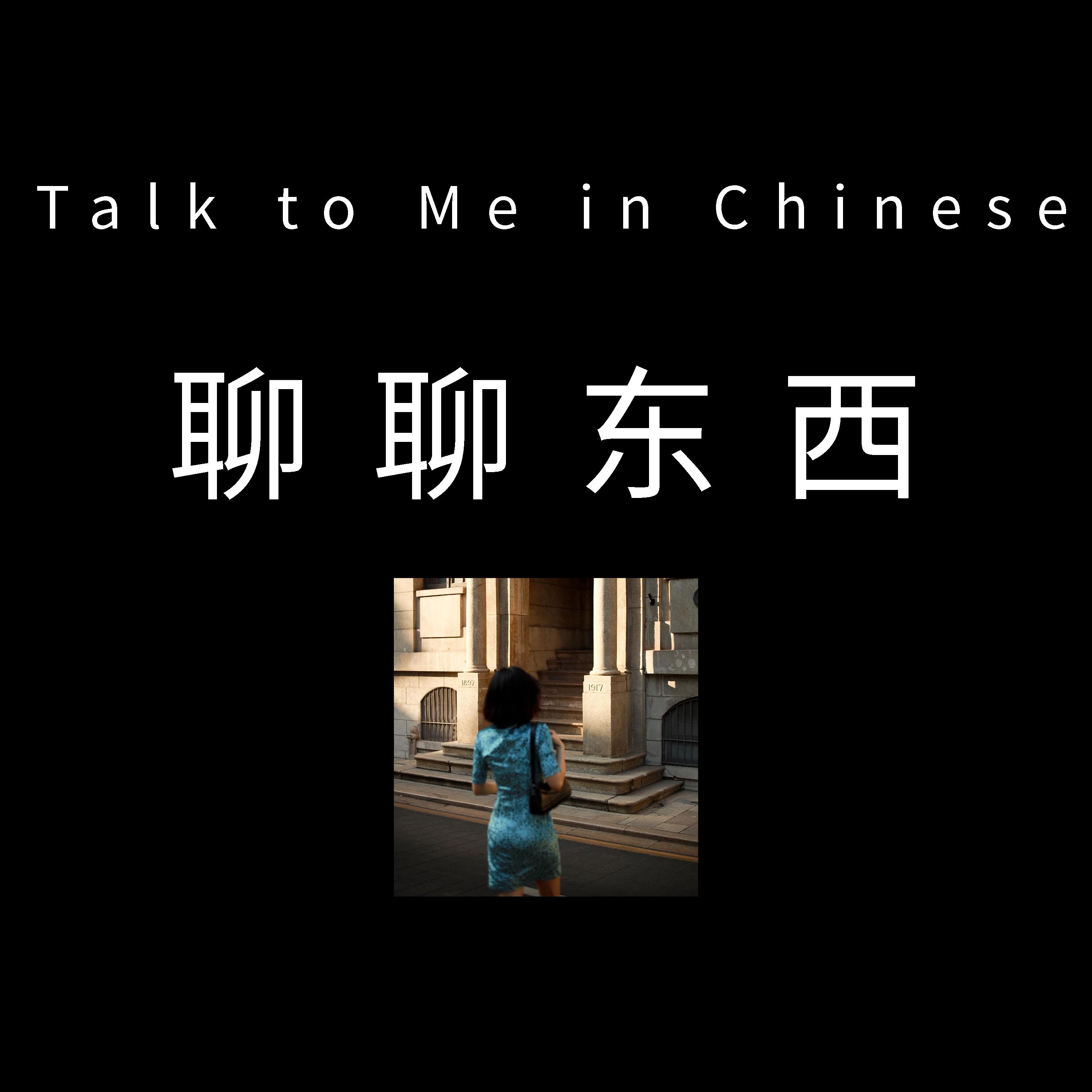 聊聊东西 - Talk to Me in Chinese cover art