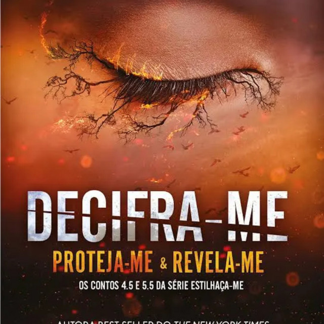 DECIFRA-ME (4.5 / 5.5)