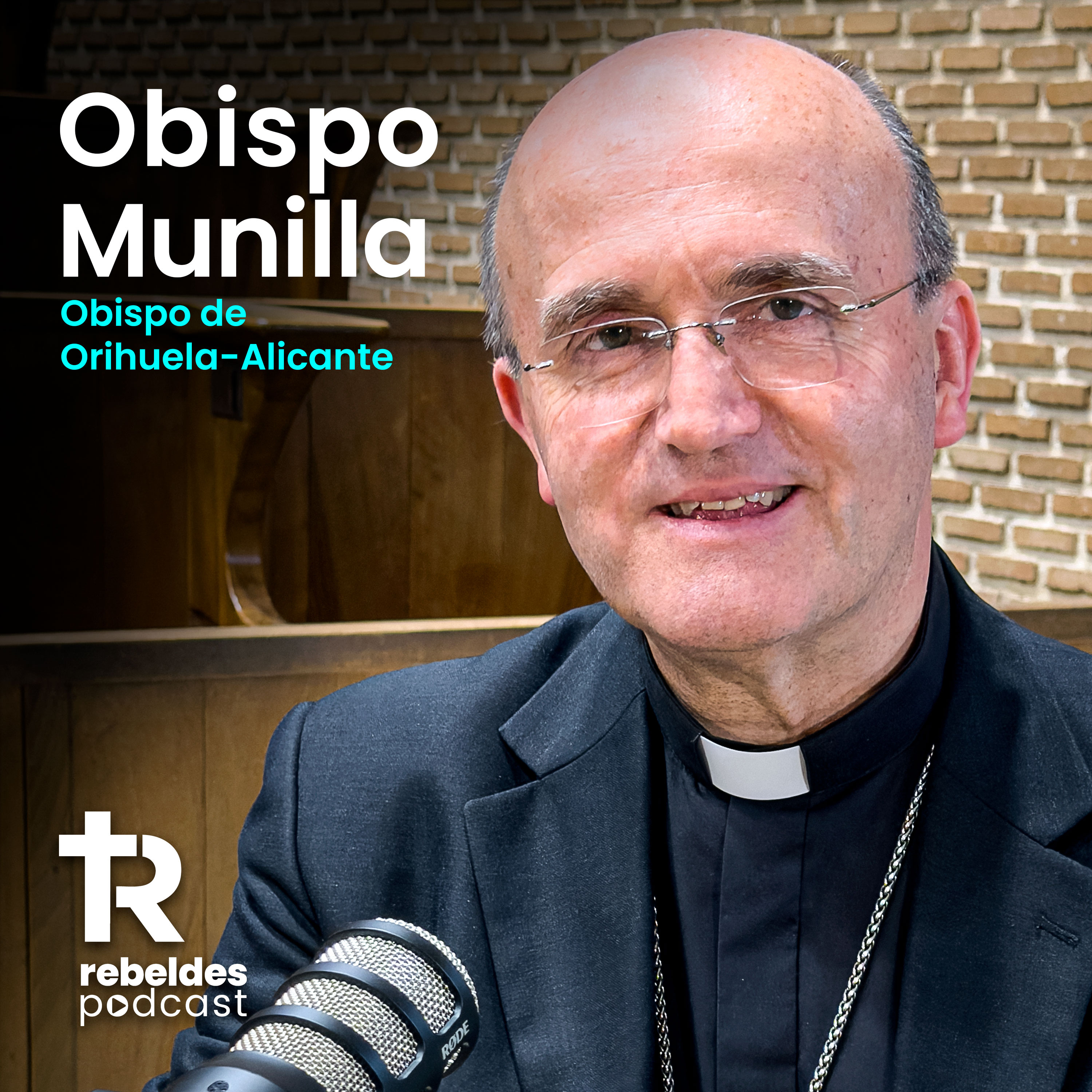 16. Monseñor Munilla: ¿Por qué nuestra generación tiene tanta ANSIEDAD? cover art