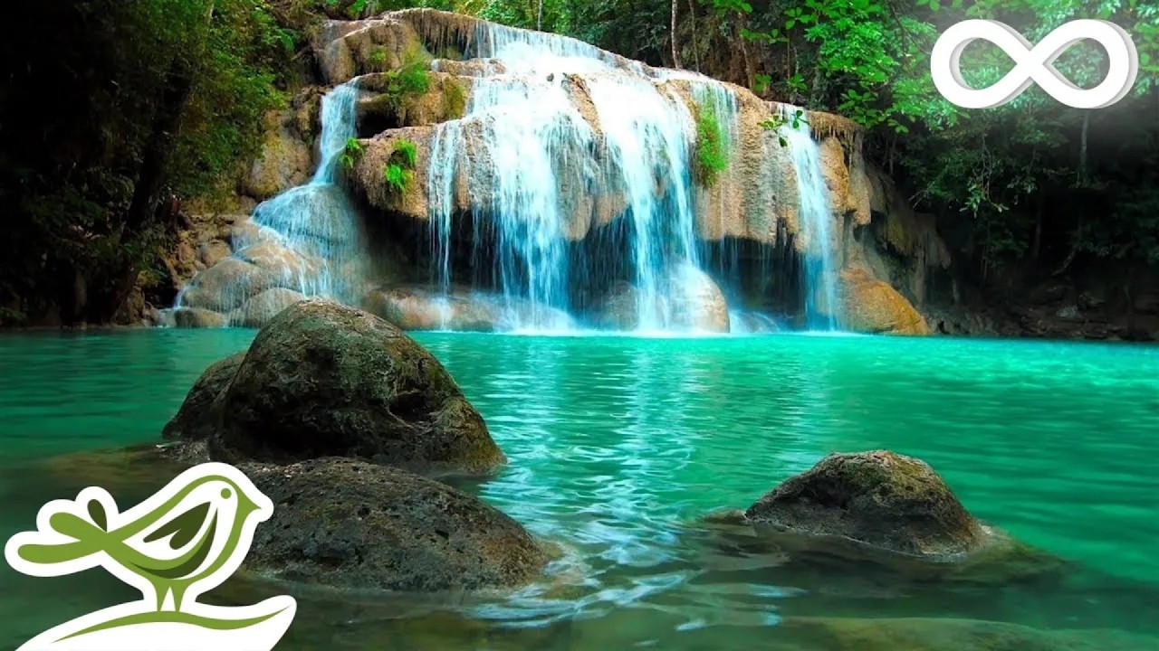 Quiet Night: Relaxing Zen Music with Water Sounds for Spa, Yoga and Relaxation cover art