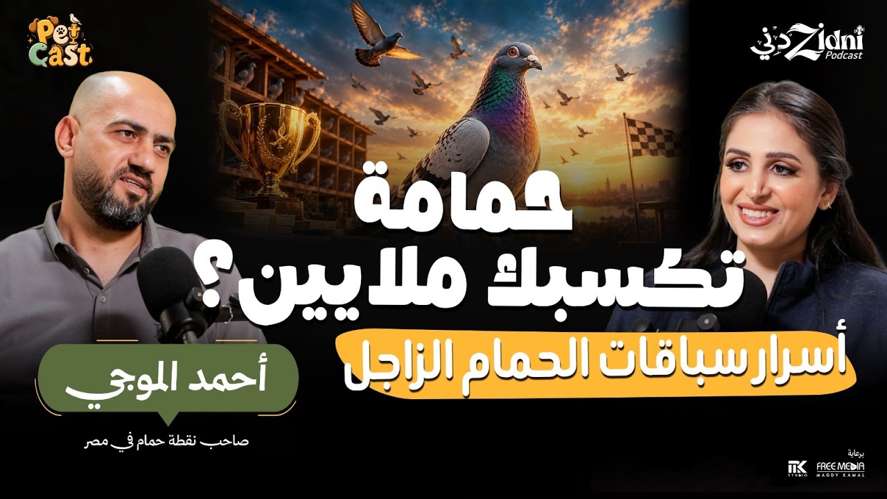 حمامة تكسبك ملايين؟! أسرار سباقات الحمام الزاجل | بيت كاست cover art