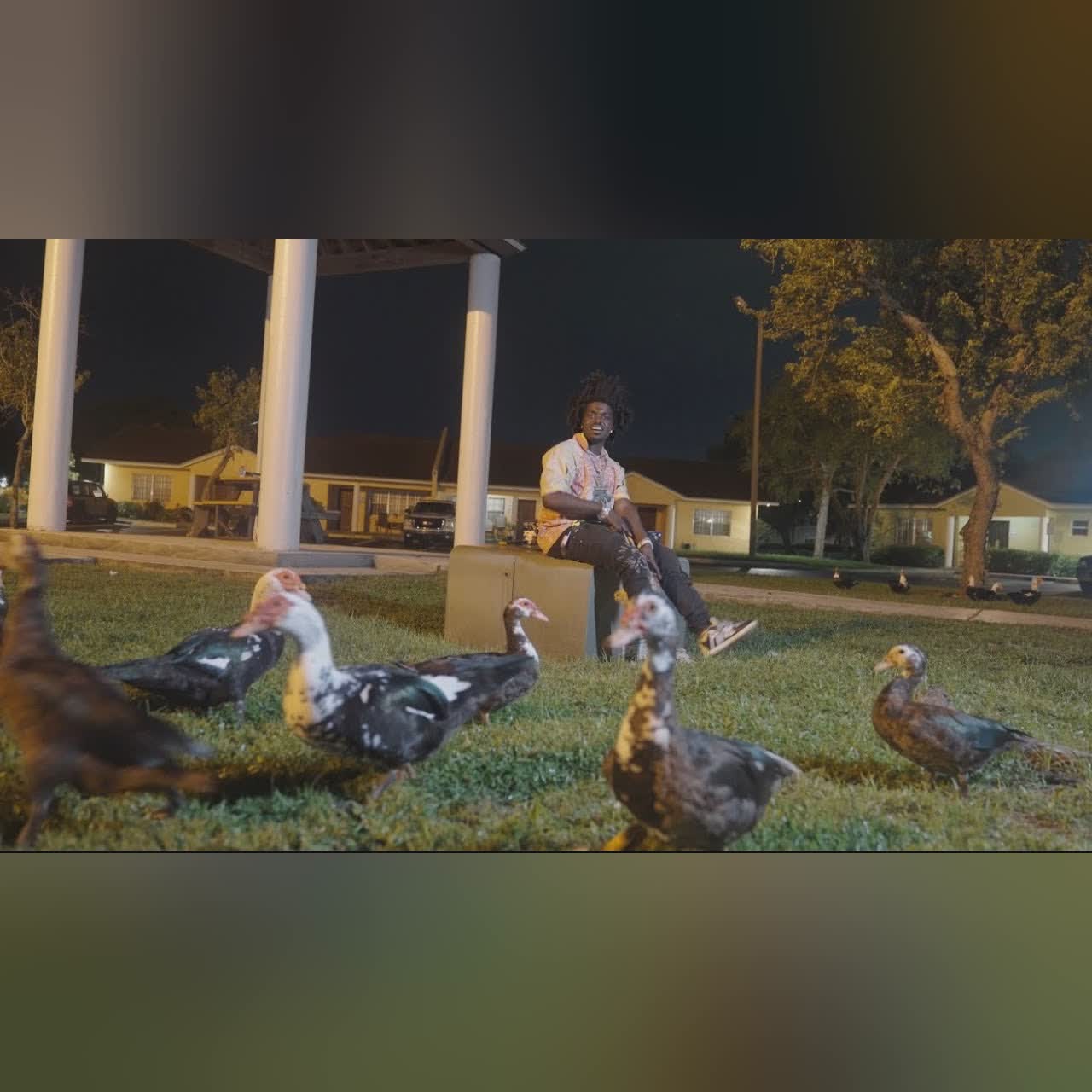 Kodak Black - Little Birdie  [Official Music Video] cover art
